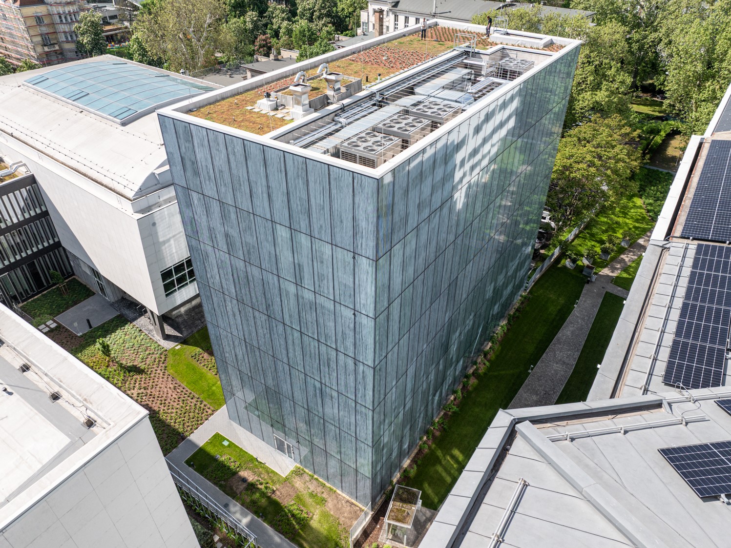 The New Role of the Office: Community, Identity, and Flexibility – Anita Hancz MRICS on the Challenges of the Hybrid Era