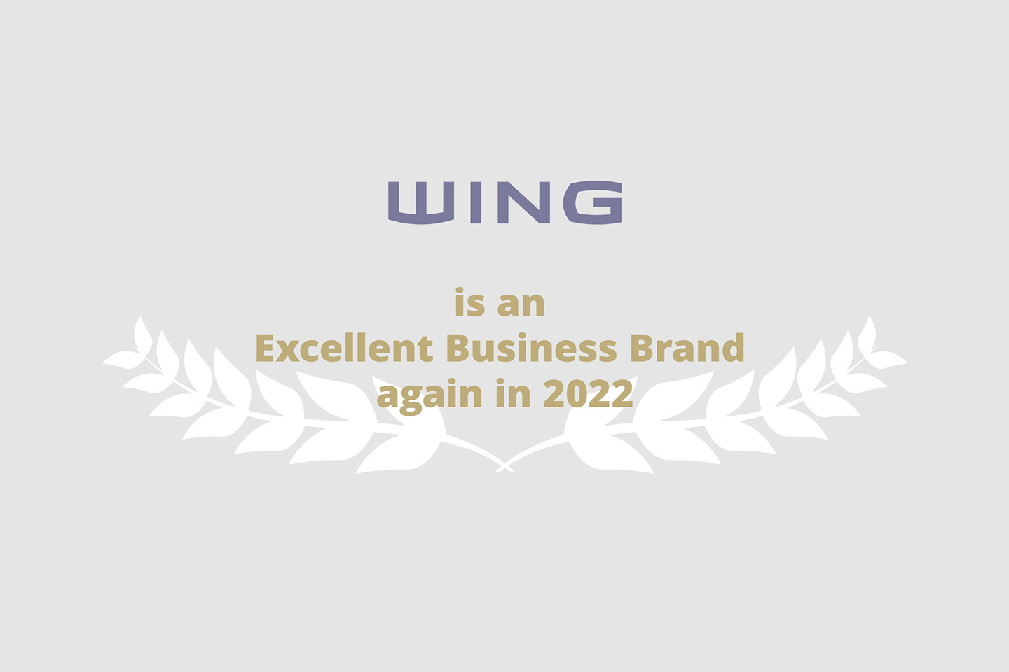 WING has won in MagyarBrands’ Excellent Business Brands category once again in 2022